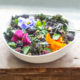 Warm Kale Blackberry Salad